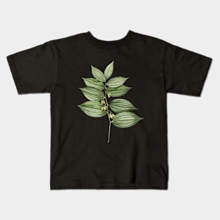 Vintage King Solomon's Seal Botanical Illustration Kids T-Shirt